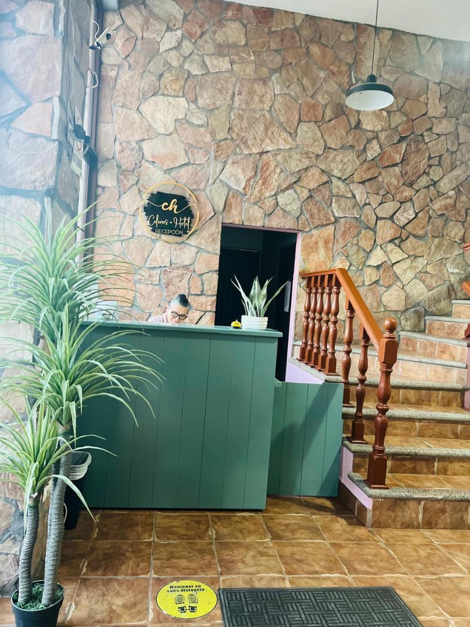 Hotel Colonos Los Cabos Cabo San Lucas Extérieur photo